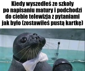 Chyba dobrze mi poszło