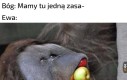 Won mi z raju