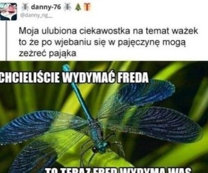 Wezwij karetkę... ale nie dla mnie!