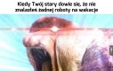 Wakacje są od odpoczynku
