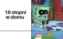 Czemu