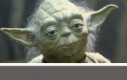 Ten quiz musiał robić yoda