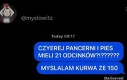 Tak zwany comfort show