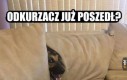 Mogę już wyjść?