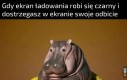 Potężny gracz