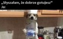 Mistrz patelni