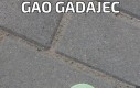 Gao gadajec