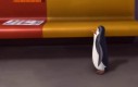 Pingwin w metrze