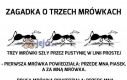 Zagadka o trzech mrówkach