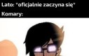 Największe latające kurwy