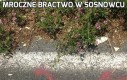 Mroczne Bractwo w Sosnowcu