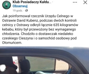 Świeży kebab