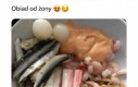 Fajnie że zeszli się z Marlenką