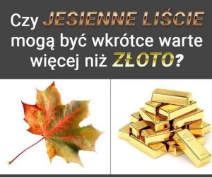 Breaking news