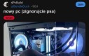 Jak mam go zignorować, jest taki słodziusi