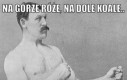 Na górze róże, na dole koale...