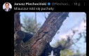 Dobre wieści