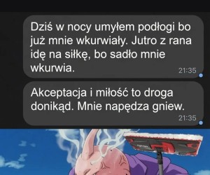 Młodzi gniewni