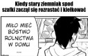 Ach te ziemniaki