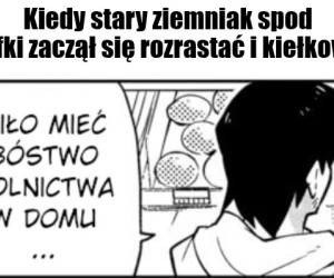 Ach te ziemniaki