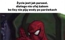 Życie ostre jak maczeta