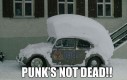 Punk's not dead!