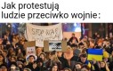 Protest kotów