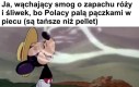 W końcu można oddychać