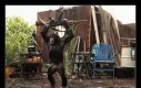 Człowiek Małpa dokonuje pierwszej zbrodni wojennej