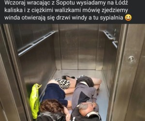 Zajęte