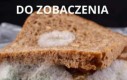 Wyjmijcie kanapeczki, bo jak nie to przyjdzie Pan i was zabierze