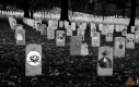 Cmentarz martwych memów