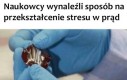 Nieskończone źródło energii