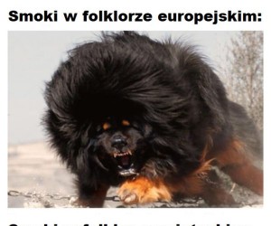 Które smoczyska wolisz?