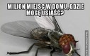 Milion miejsc w domu, gdzie mogę usiąść?