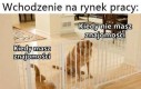 Nie polecam