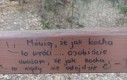 Coś w tym jest