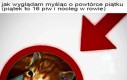 P jak piwo :3