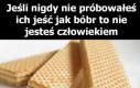 Zasady to zasady