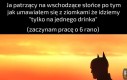 Wina Serbów