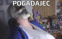 Pogadajec