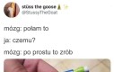 Zasady to zasady