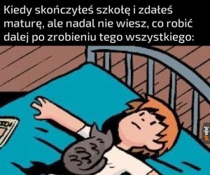 Niech lepiej kocur zadecyduje o moim dalszym losie