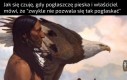 Jestem wyjątkowy