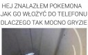 Prawdziwy polski Pokemon