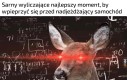 Maksymalizacja zniszczeń