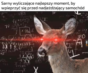 Maksymalizacja zniszczeń