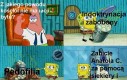 Kto się z tym nie zgadza, ten za Putinem.