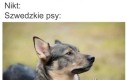Jest taka piosenkarka