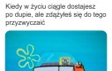Zawsze są jakieś pozytywy, czy coś